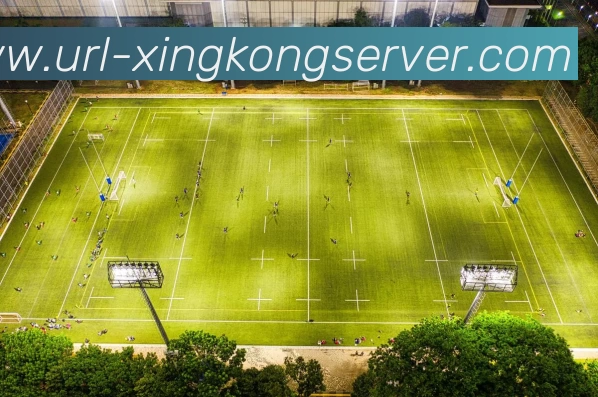 星空体育APP 封面图